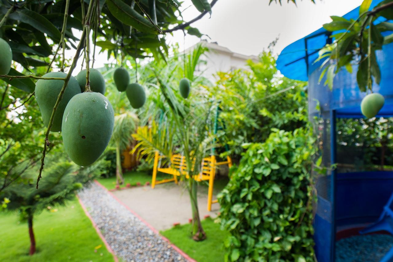 Galaxy Guest House Siddharthanagar Ngoại thất bức ảnh